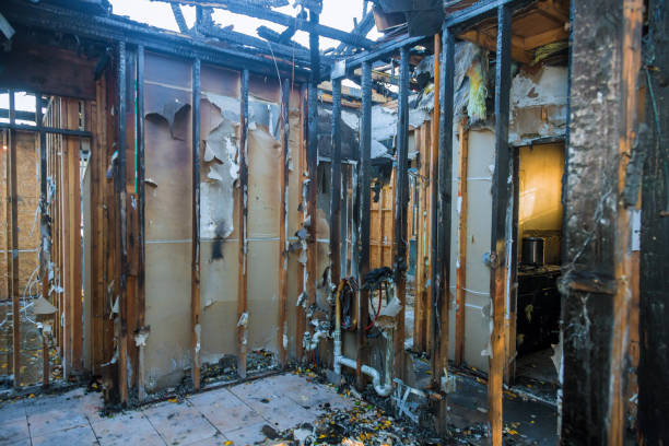 Professional Fire Damage Removal technician working in Baring, WA