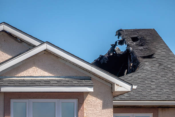 Top rated local Fire Damage Removal specialists in Baring, WA